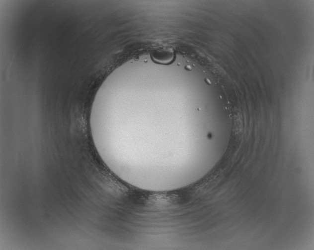 X0000073990613200609060959