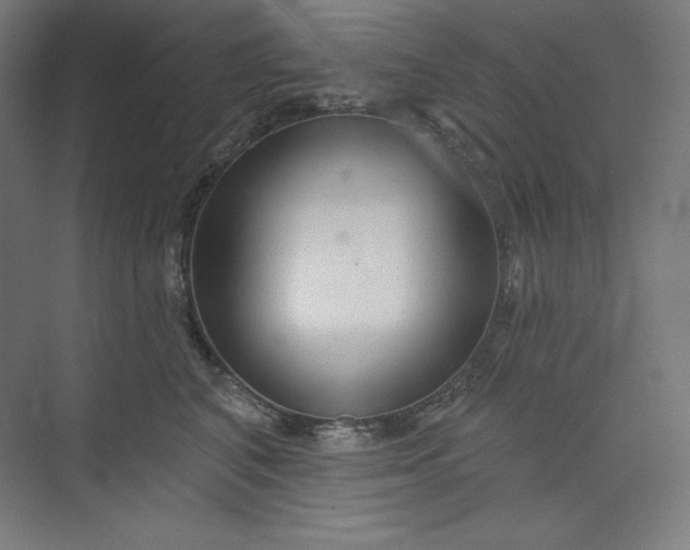 X0000073990616200609060959