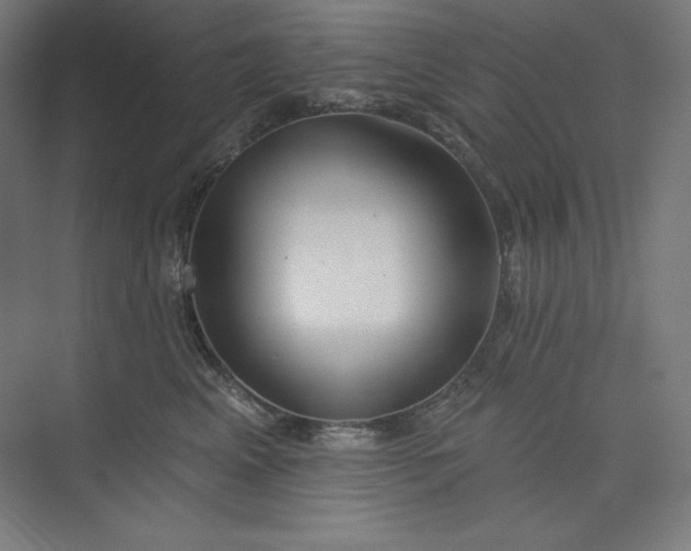 X0000073990617200609060959