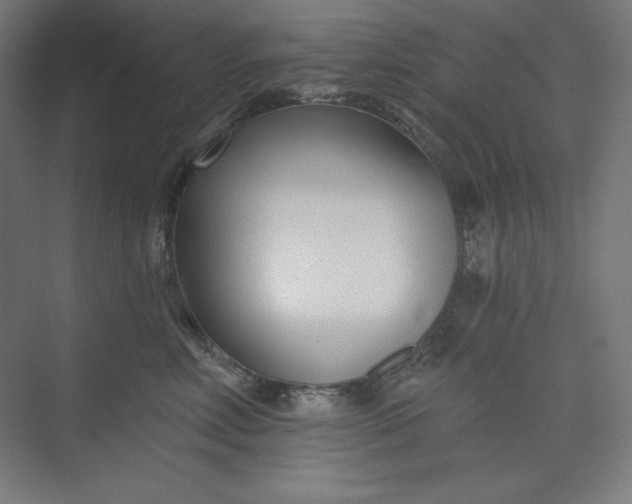 X0000073990618200609060959