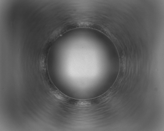 X0000073990619200609060959