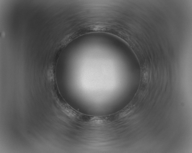 X0000073990620200609060959