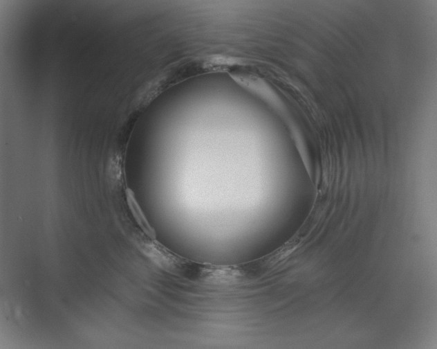 X0000073990621200609060959