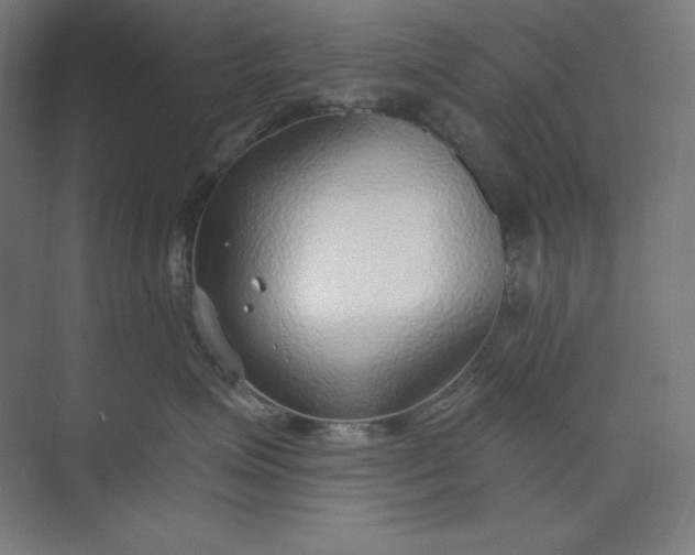 X0000073990623200609060959