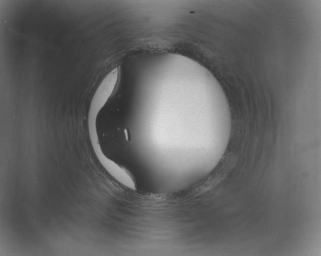 X0000073990624200609060959