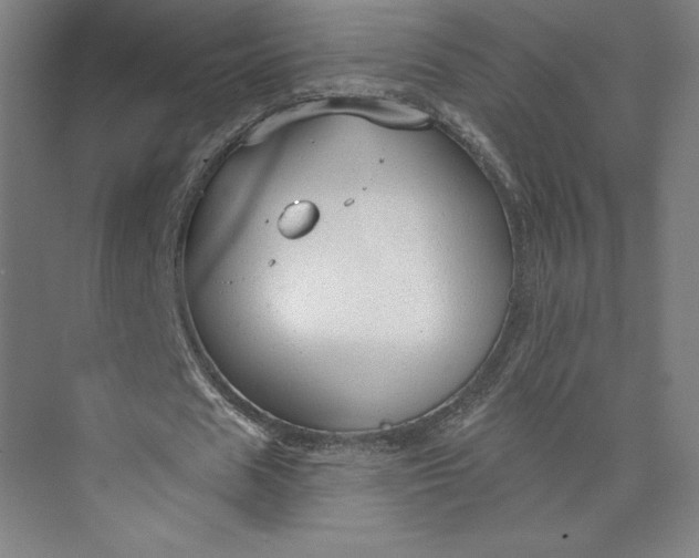 X0000073990625200609060958