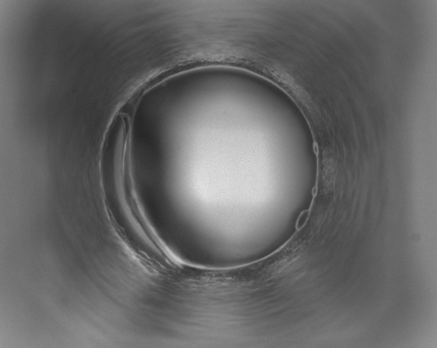 X0000073990626200609060958