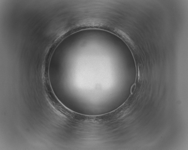 X0000073990627200609060958