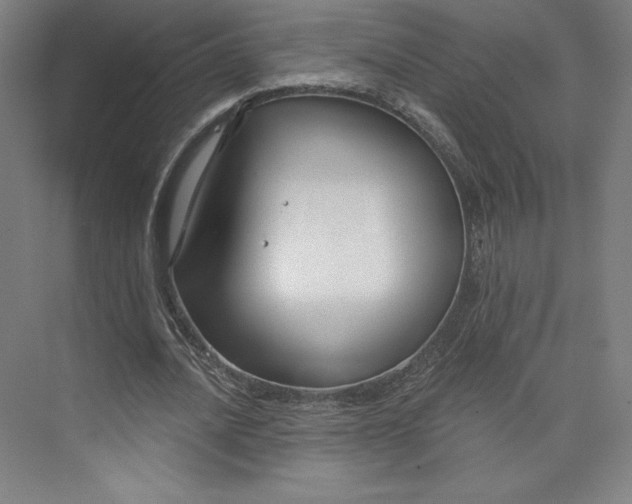 X0000073990628200609060958