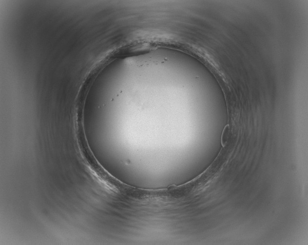 X0000073990629200609060958