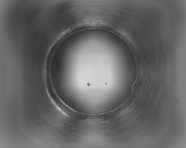 X0000073990630200609060958