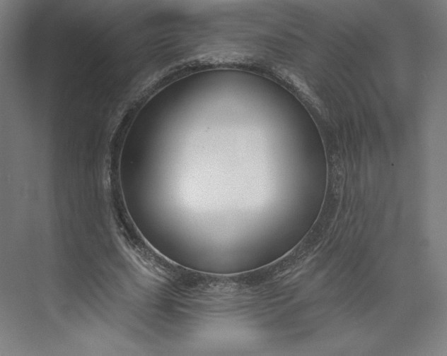 X0000073990631200609060958