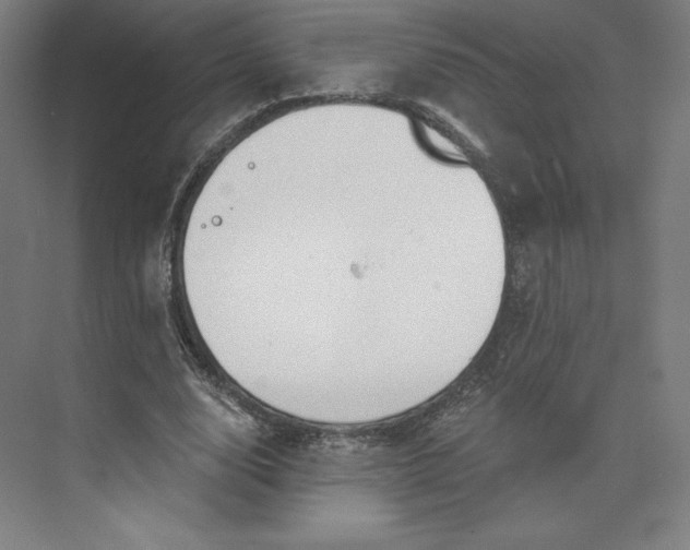 X0000073990632200609060958