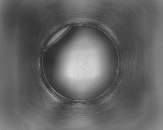 X0000073990633200609060958