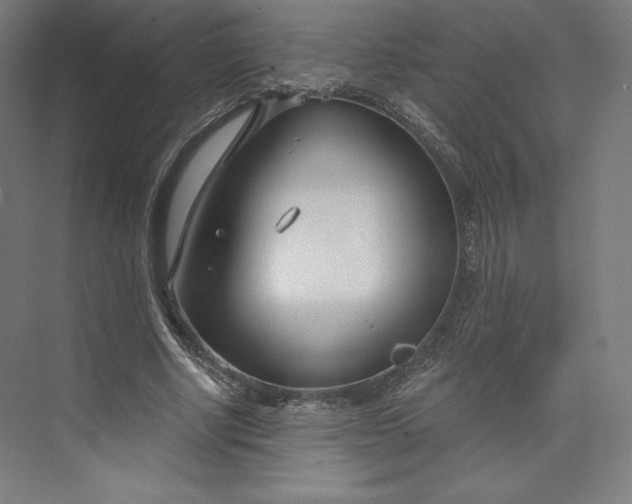 X0000073990634200609060958