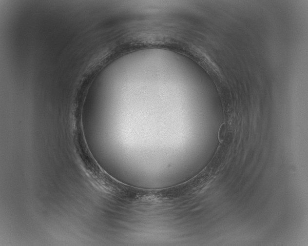 X0000073990635200609060958