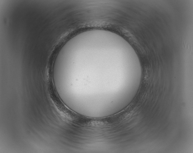 X0000073990636200609060958