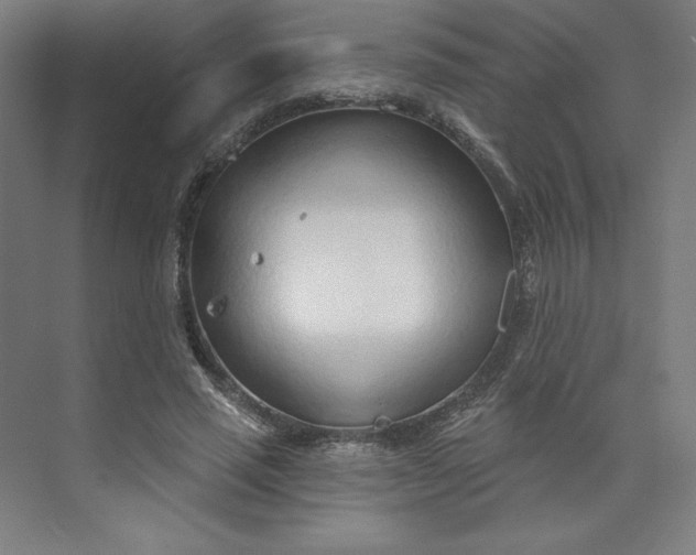 X0000073990637200609060958