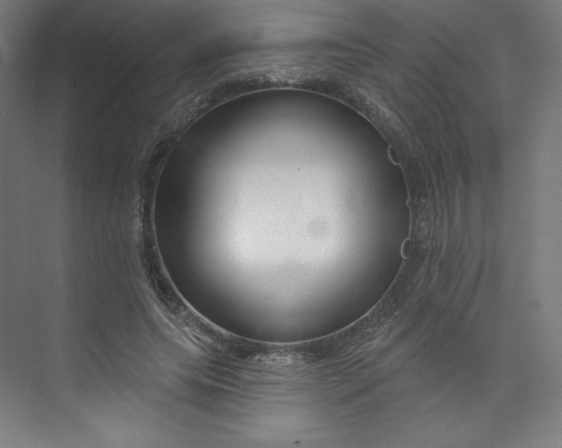 X0000073990639200609060959