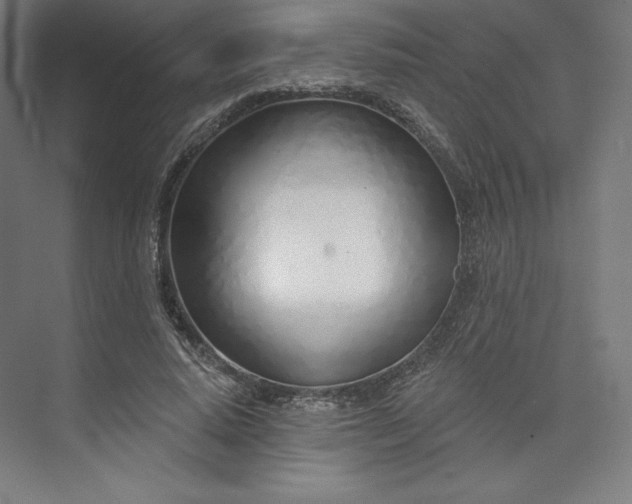 X0000073990640200609060959