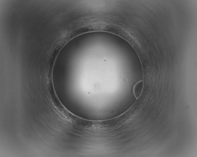 X0000073990641200609060959