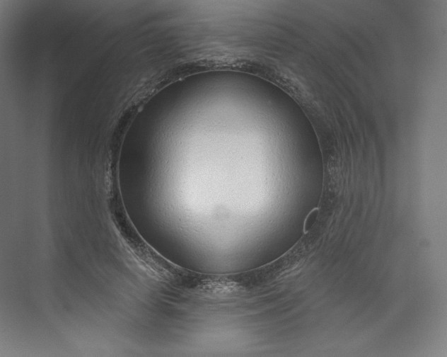 X0000073990642200609060959