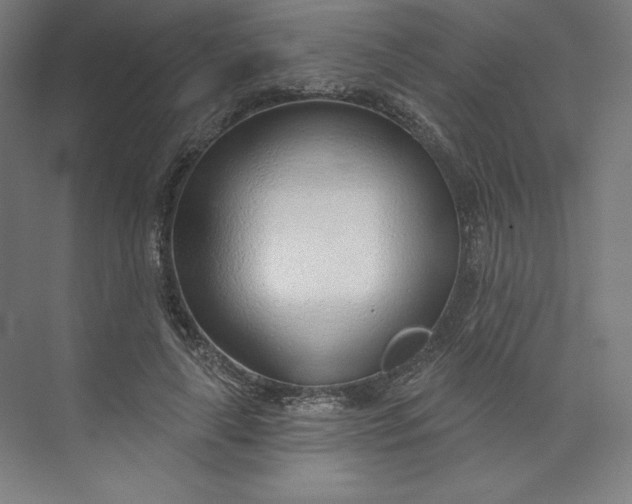 X0000073990643200609060959