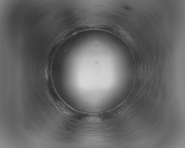 X0000073990644200609060959