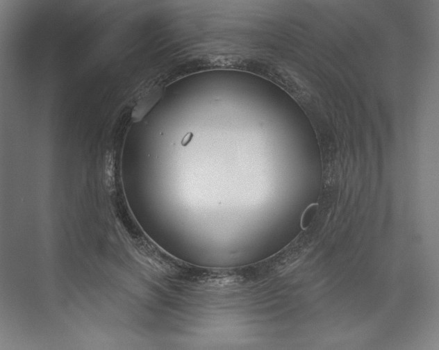 X0000073990646200609060959