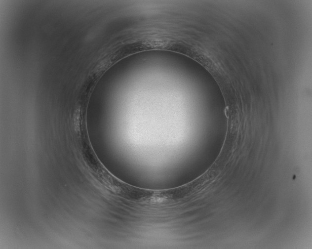 X0000073990647200609060959