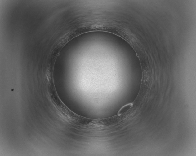 X0000073990648200609060959