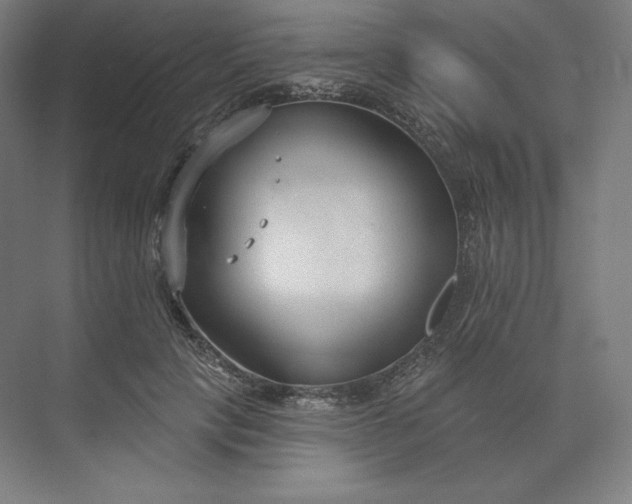 X0000073990649200609060959