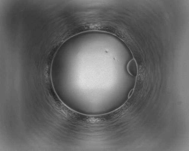 X0000073990650200609060959