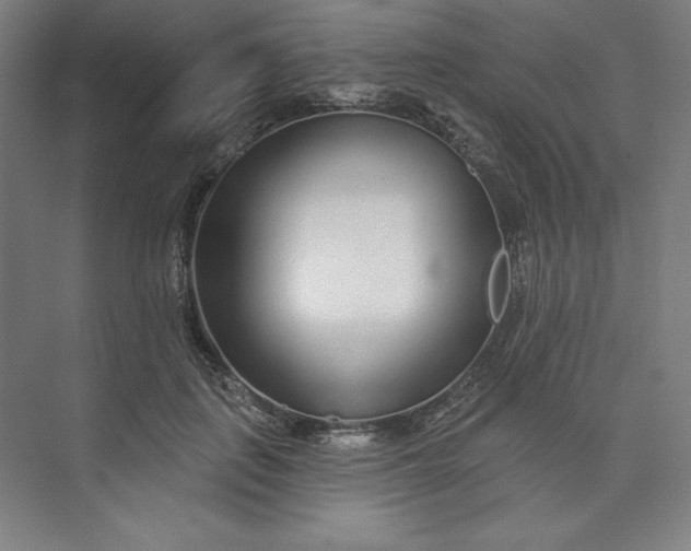 X0000073990651200609060959