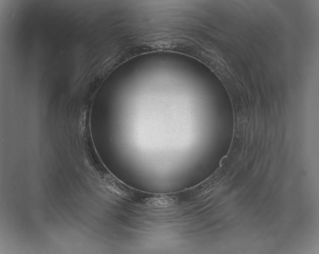 X0000073990652200609060959