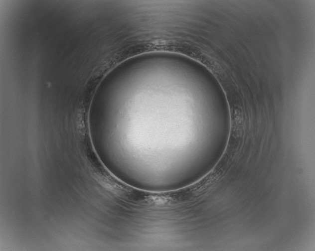 X0000073990654200609060959