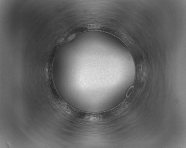 X0000073990655200609060959