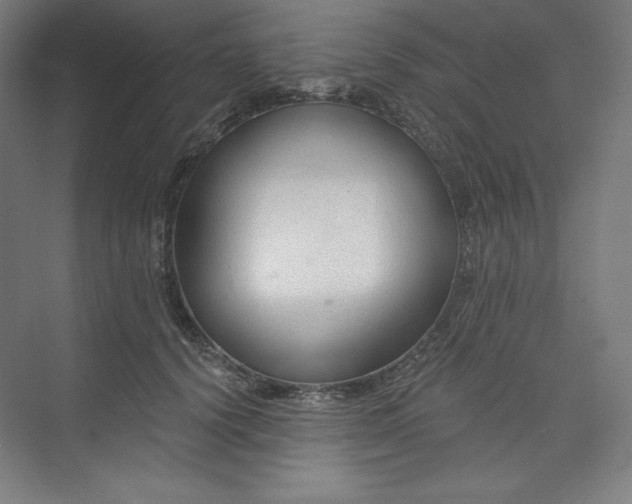 X0000073990656200609060959