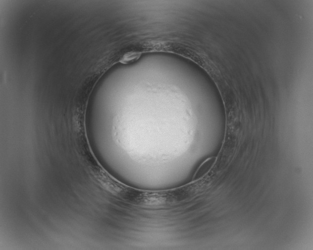 X0000073990658200609060959