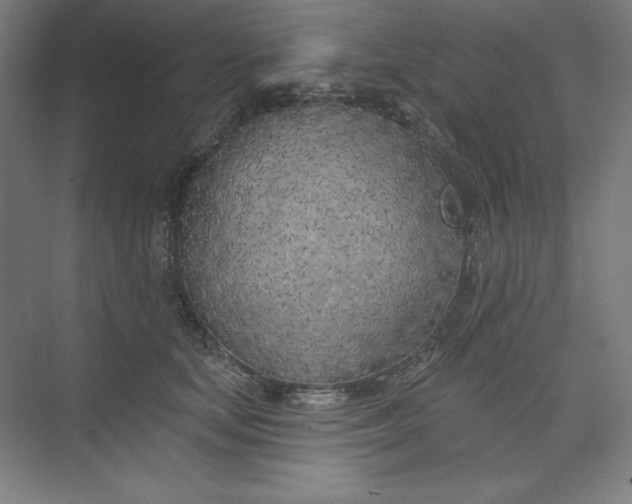 X0000073990659200609060959