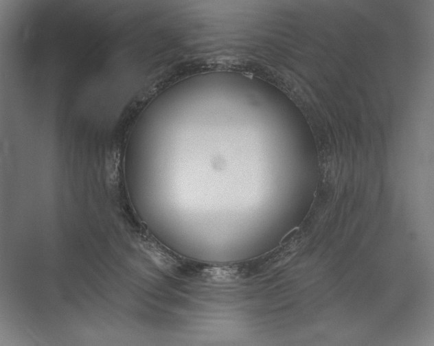 X0000073990660200609060959