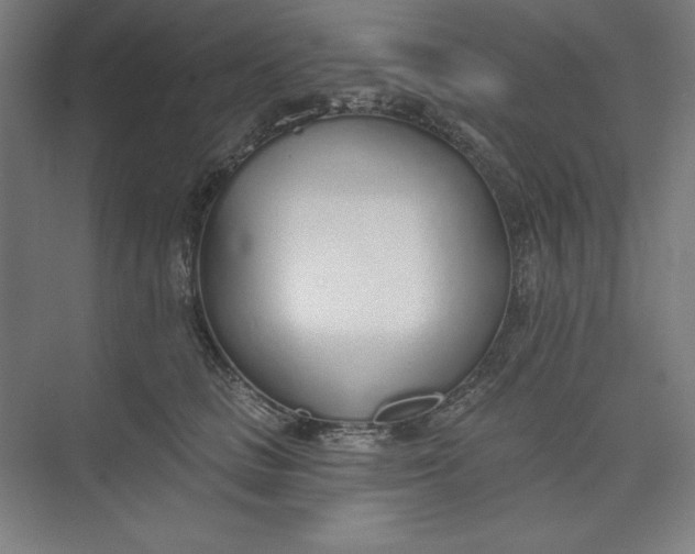 X0000073990661200609060959