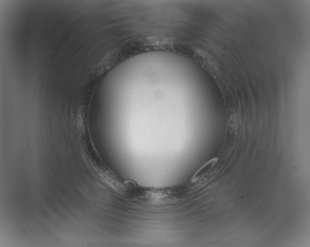 X0000073990662200609060959