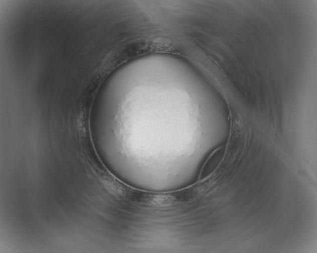 X0000073990663200609060959