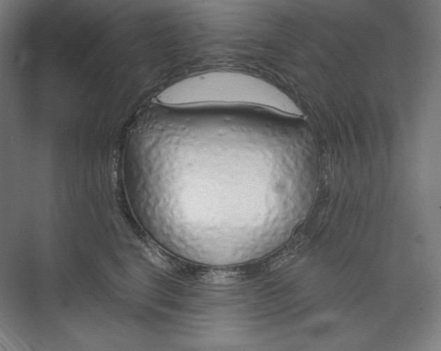 X0000073990664200609060959