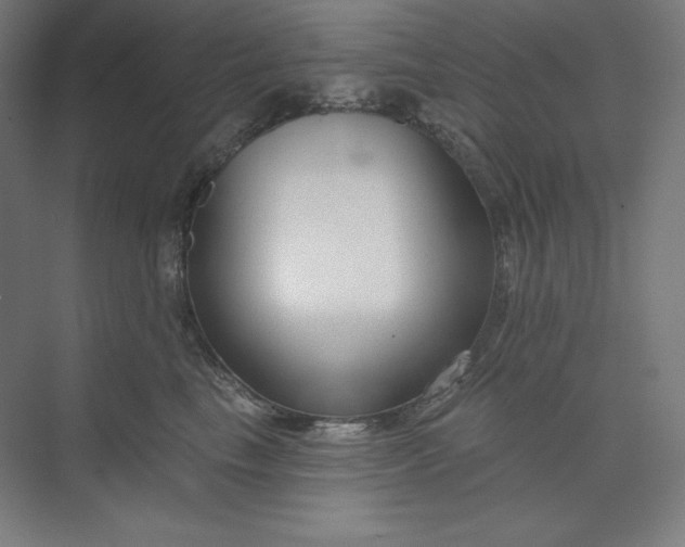 X0000073990665200609060959