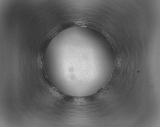 X0000073990666200609060959