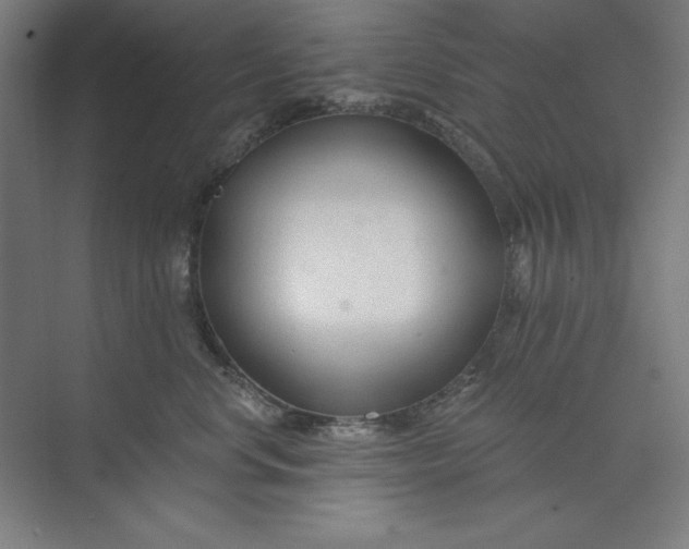 X0000073990668200609060959