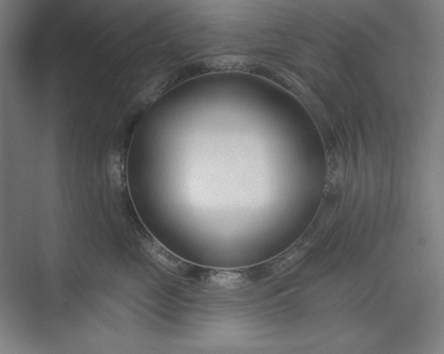 X0000073990669200609060959