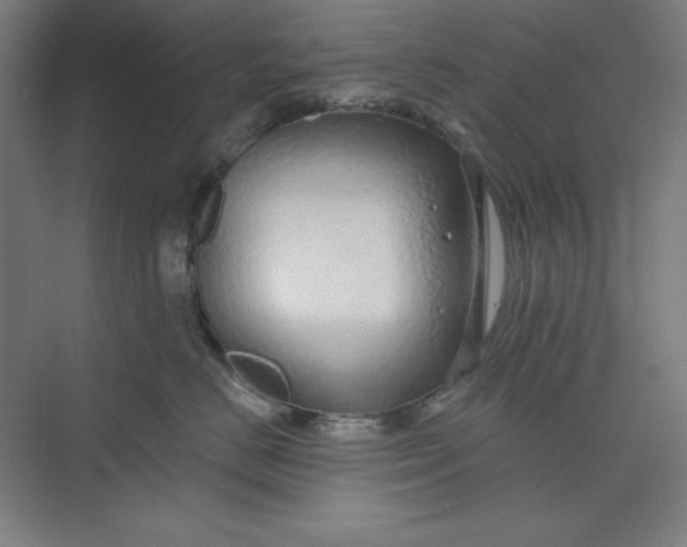 X0000073990670200609060959